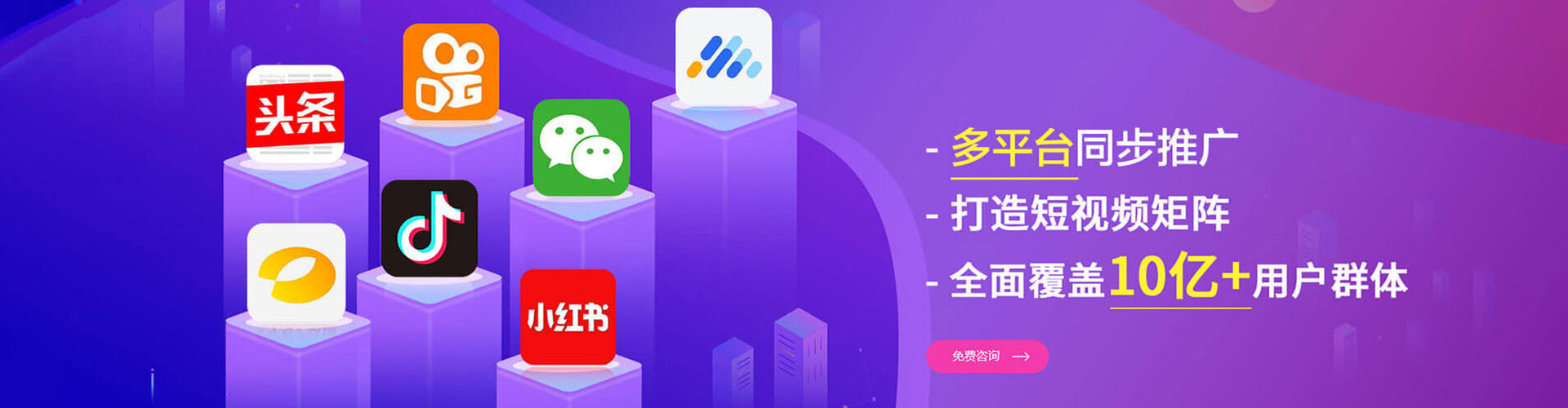 金塔sem主管
